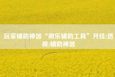 玩家辅助神器“微乐辅助工具”开挂(透视)辅助神器