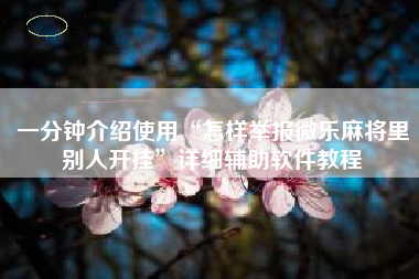 一分钟介绍使用“怎样举报微乐麻将里别人开挂	”详细辅助软件教程