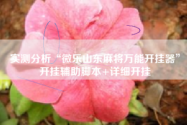 实测分析“微乐山东麻将万能开挂器	”开挂辅助脚本+详细开挂