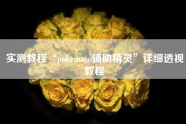 实测教程“pokemmo辅助精灵”详细透视教程
