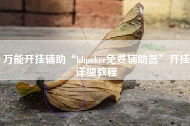 万能开挂辅助“hhpoker免费辅助器”开挂详细教程
