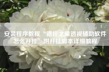 安装程序教程“德扑之星透视辅助软件怎么开挂	”附开挂脚本详细教程