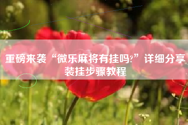 重磅来袭“微乐麻将有挂吗?	”详细分享装挂步骤教程