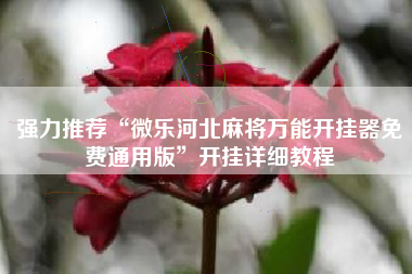 强力推荐“微乐河北麻将万能开挂器免费通用版”开挂详细教程