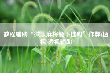 教程辅助“微乐麻将能下挂吗	”作弊(透视)透视辅助