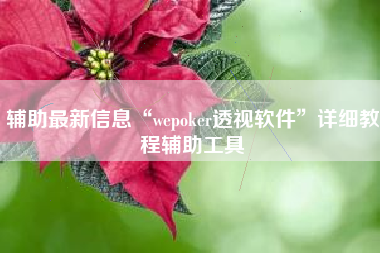辅助最新信息“wepoker透视软件”详细教程辅助工具
