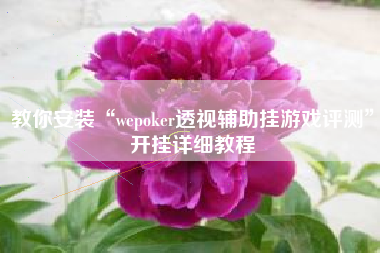 教你安装“wepoker透视辅助挂游戏评测”开挂详细教程