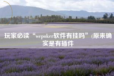 玩家必读“wepoker软件有挂吗	”(原来确实是有插件