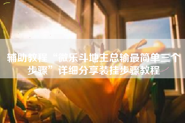 辅助教程“微乐斗地主总输最简单三个步骤	”详细分享装挂步骤教程