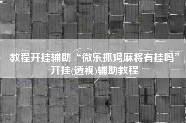 教程开挂辅助“微乐抓鸡麻将有挂吗	”开挂(透视)辅助教程