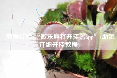 [教程经验]“微乐麻将开挂器app”(助赢详细开挂教程)