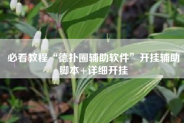 必看教程“德扑圈辅助软件”开挂辅助脚本+详细开挂