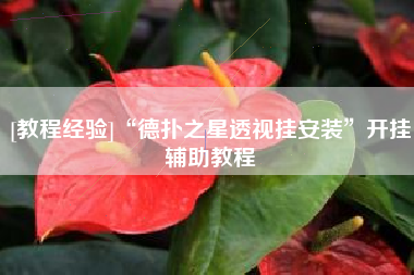 [教程经验]“德扑之星透视挂安装”开挂辅助教程