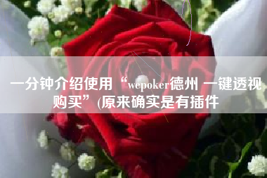 一分钟介绍使用“wepoker德州 一键透视购买”(原来确实是有插件