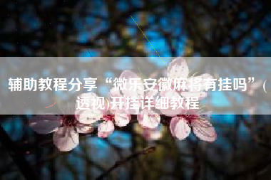 辅助教程分享“微乐安徽麻将有挂吗”(透视)开挂详细教程