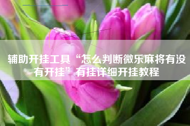 辅助开挂工具“怎么判断微乐麻将有没有开挂	”有挂详细开挂教程