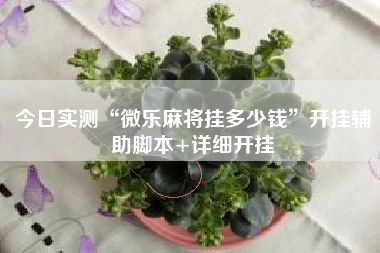 今日实测“微乐麻将挂多少钱	”开挂辅助脚本+详细开挂