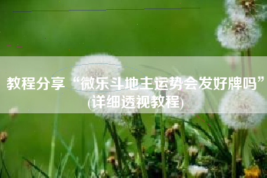 教程分享“微乐斗地主运势会发好牌吗”(详细透视教程)