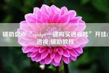 辅助盘点“xpoker一键购买透视挂”开挂(透视)辅助教程