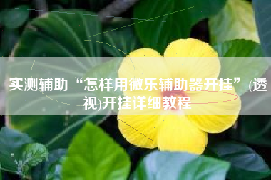 实测辅助“怎样用微乐辅助器开挂”(透视)开挂详细教程