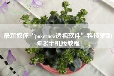 最新教你“pokernow透视软件”科技辅助神器手机版教程