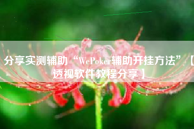 分享实测辅助“WePoker辅助开挂方法”【透视软件教程分享】