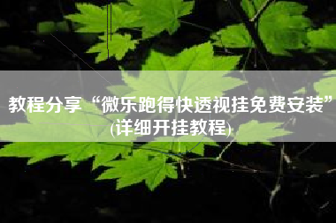 教程分享“微乐跑得快透视挂免费安装”(详细开挂教程)