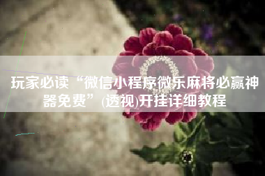 玩家必读“微信小程序微乐麻将必赢神器免费”(透视)开挂详细教程