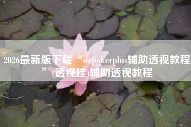 2026最新版下载“wepokerplus辅助透视教程	”(透视挂)辅助透视教程