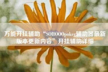 万能开挂辅助“SOHOOOpoker辅助器最新版本更新内容	”开挂辅助详细