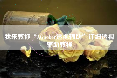 我来教你“AGpoker透视辅助	”详细透视辅助教程