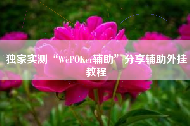 独家实测“WePOKer辅助”分享辅助外挂教程