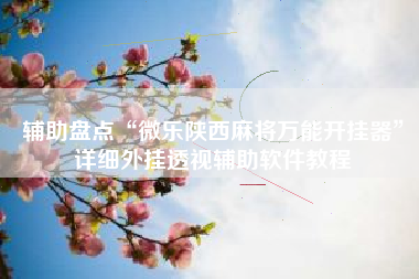 辅助盘点“微乐陕西麻将万能开挂器	”详细外挂透视辅助软件教程