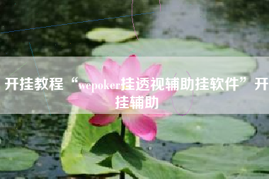 开挂教程“wepoker挂透视辅助挂软件”开挂辅助