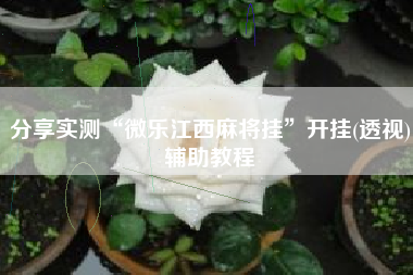 分享实测“微乐江西麻将挂	”开挂(透视)辅助教程