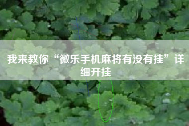 我来教你“微乐手机麻将有没有挂”详细开挂