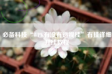 必备科技“WPK有没有透视挂”有挂详细开挂教程