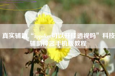 真实辅助“appoker可以开挂透视吗”科技辅助神器手机版教程