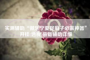 实测辅助“微乐宁夏捉麻子必赢神器	”开挂(透视)最新辅助详细