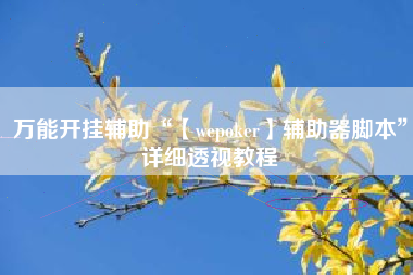 万能开挂辅助“【wepoker】辅助器脚本”详细透视教程