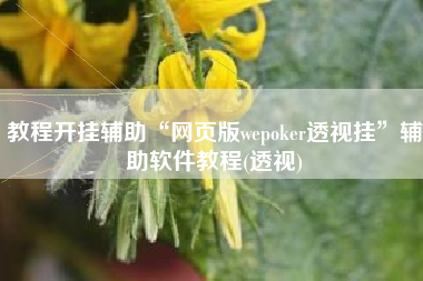教程开挂辅助“网页版wepoker透视挂	”辅助软件教程(透视)