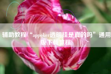 辅助教程“appoker透明挂是真的吗”通用版下载教程!