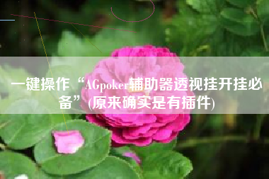 一键操作“AGpoker辅助器透视挂开挂必备	”(原来确实是有插件)
