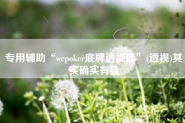 专用辅助“wepoker底牌透视挂	”(透视)其实确实有挂