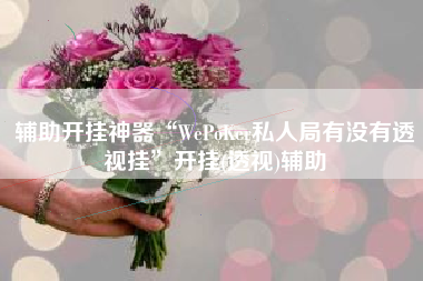 辅助开挂神器“WePoKer私人局有没有透视挂	”开挂(透视)辅助