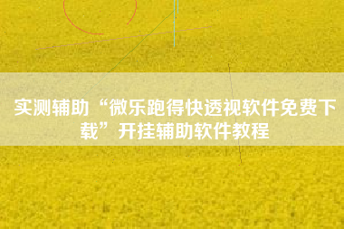 实测辅助“微乐跑得快透视软件免费下载	”开挂辅助软件教程