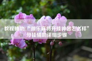 教程辅助!“微乐麻将开挂神器怎么样	”开挂辅助详细步骤