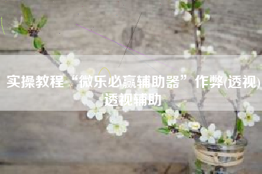 实操教程“微乐必赢辅助器”作弊(透视)透视辅助