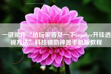 一键操作“给玩家普及一下wepoker开挂透视方法	”科技辅助神器手机版教程