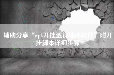 辅助分享“wpk开挂透视辅助软件	”附开挂脚本详细步骤